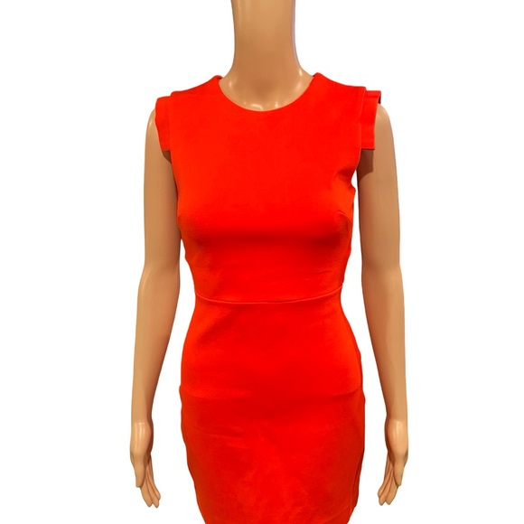 Stunning Babaton dress - Picture 5 of 9